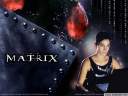 matrix20.jpg